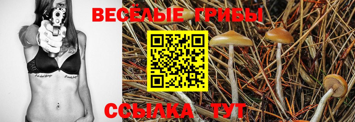 Галлюциногенные грибы мухоморы  Галлюциногенные грибы MAGIC MUSHROOMS  Вход с VPN  Дедовск 